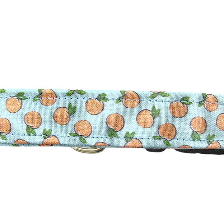 Peaches Dog Collar for wholesale by Shelby's Squad