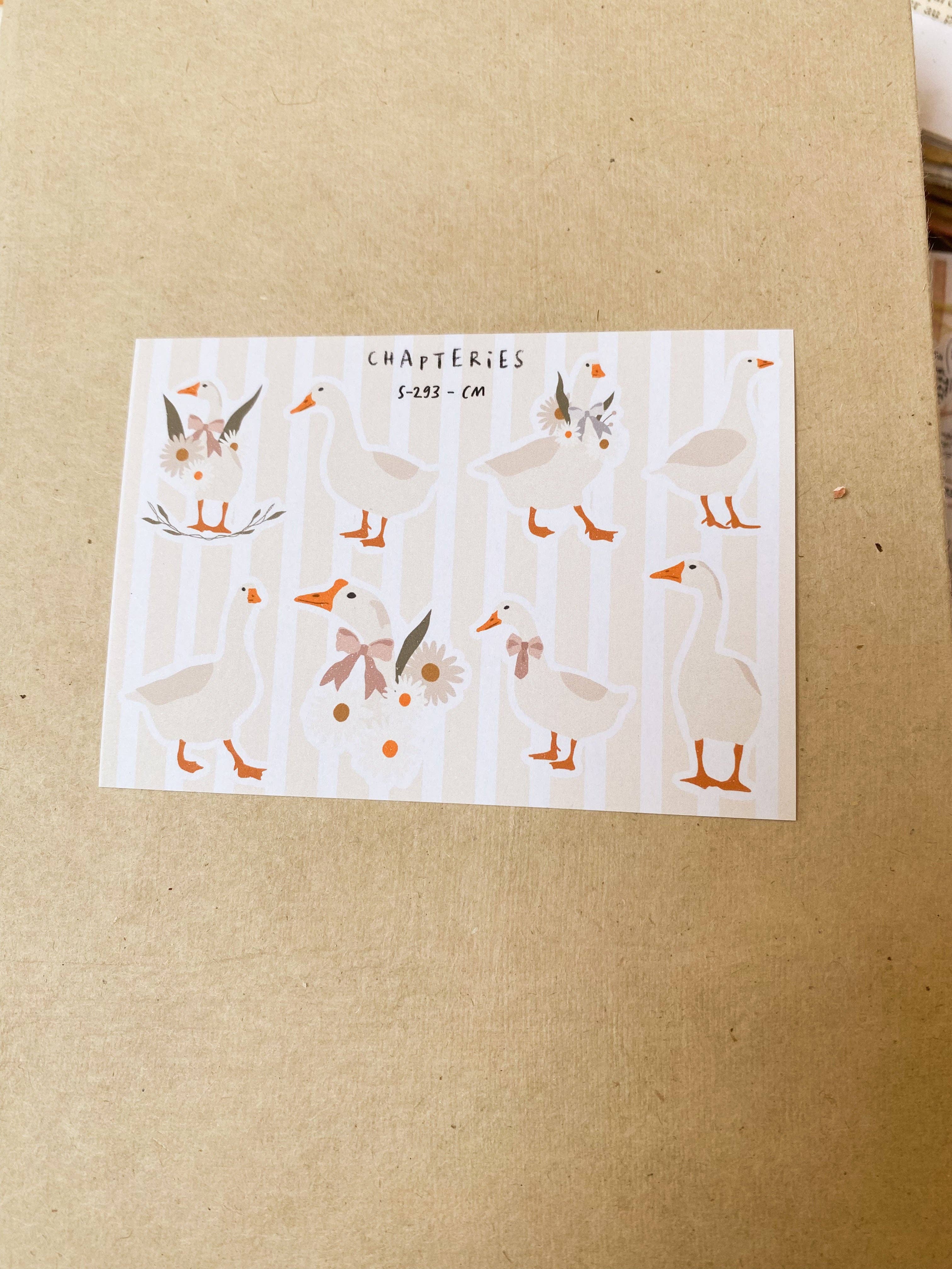 Chapteries – wholesale Scrapbooking kit – Week end at the cottage box7