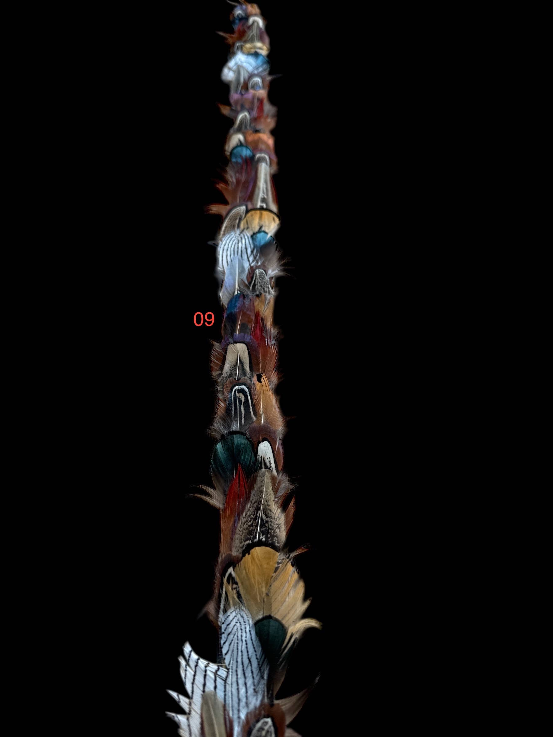 Nati Natash - Wholesale Hat Accessory - Women's - Feather hat band with strap6