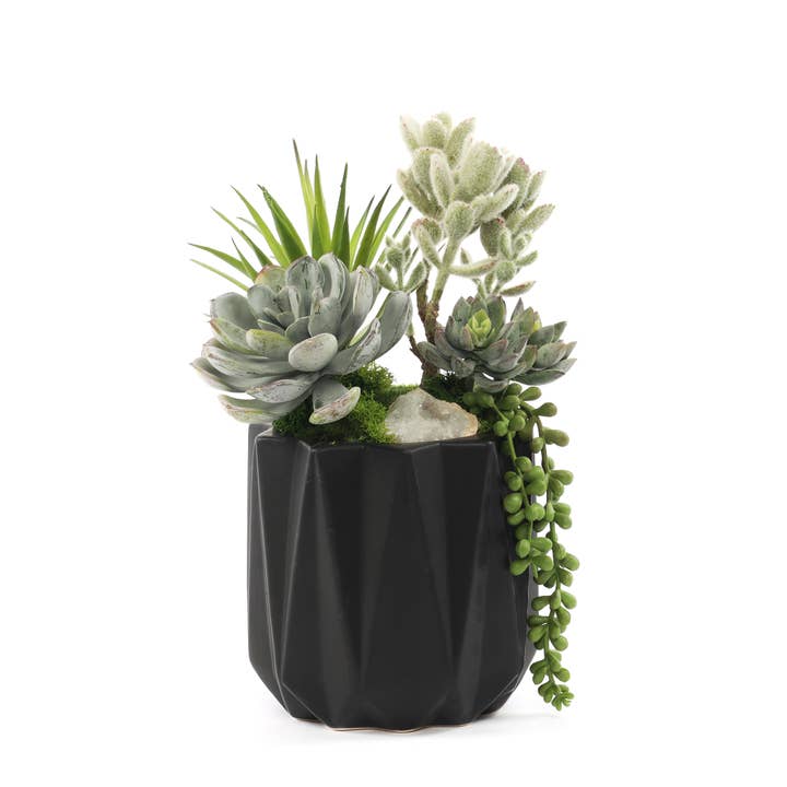 Fausse succulente et géodes dans un pot dimensionnel noir pour la vente par JENNY SILKS