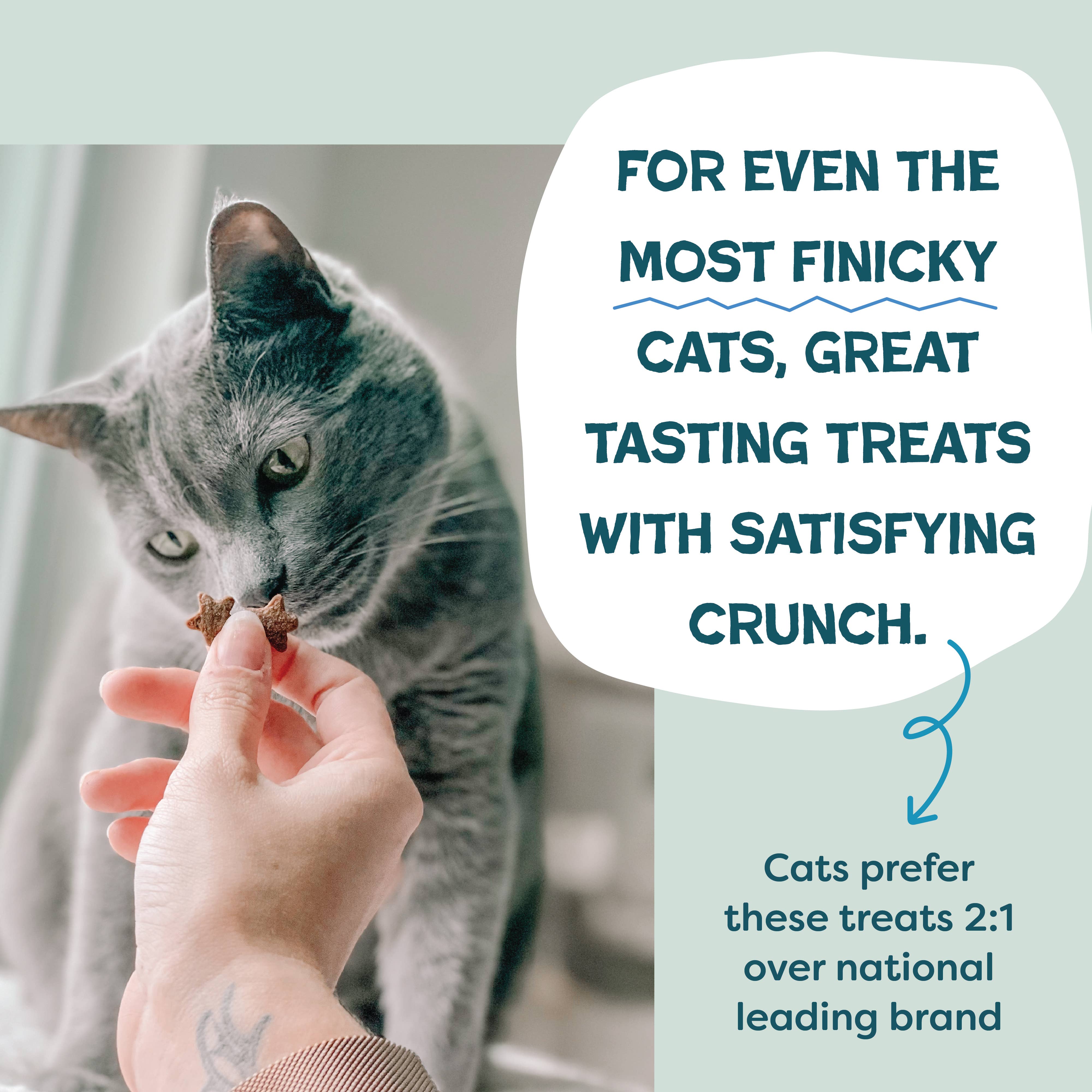 Shameless Pets - Wholesale Pet Treats - Cat - Catnip N Chill (fka Fintastic Catnip) Crunchy Cat - Tuna5