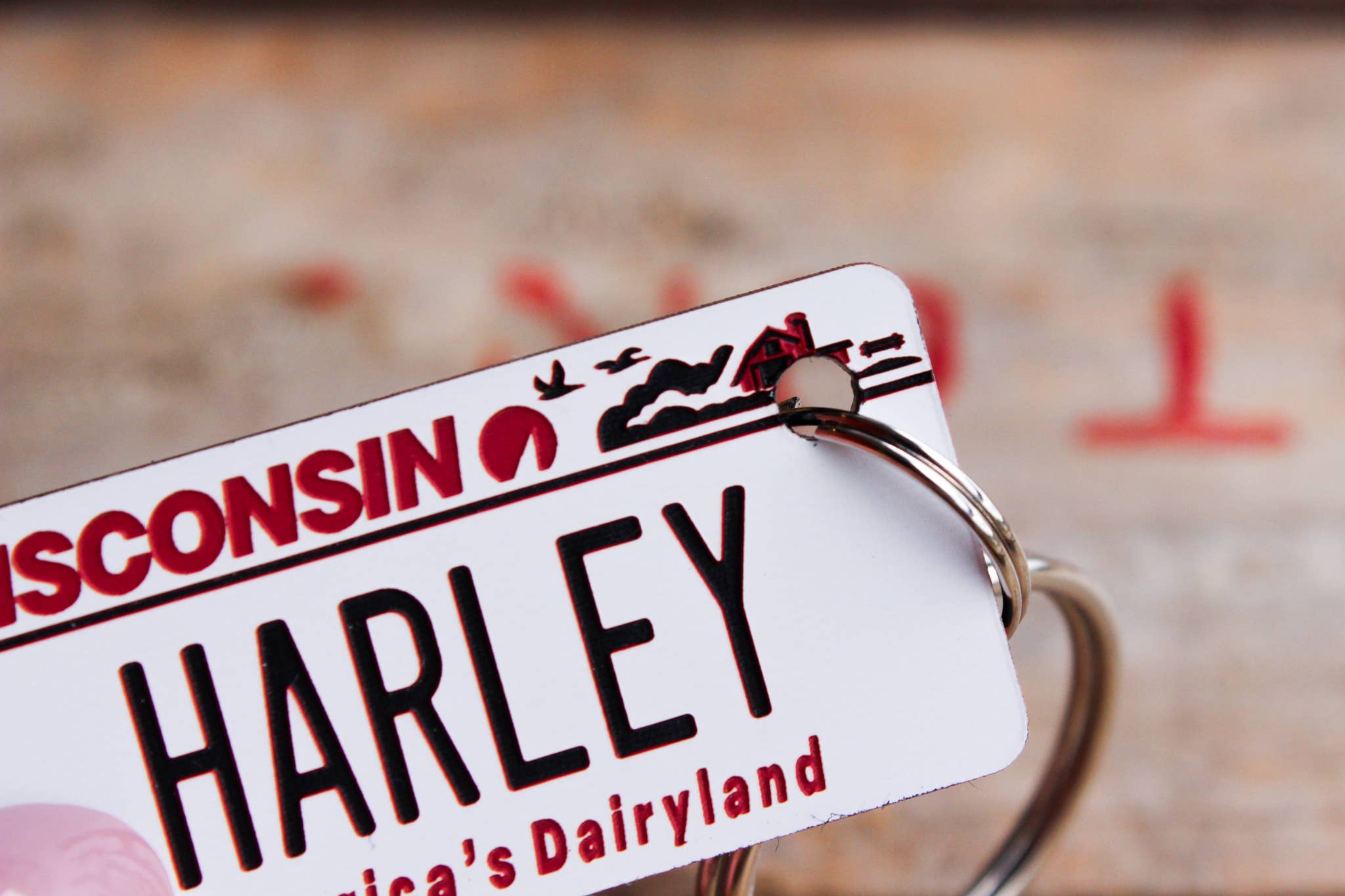 The Laundry Room Shop - Vente Porte-clés – unisexe - Porte-clés en plastique gravé personnalisable - Wisconsin6