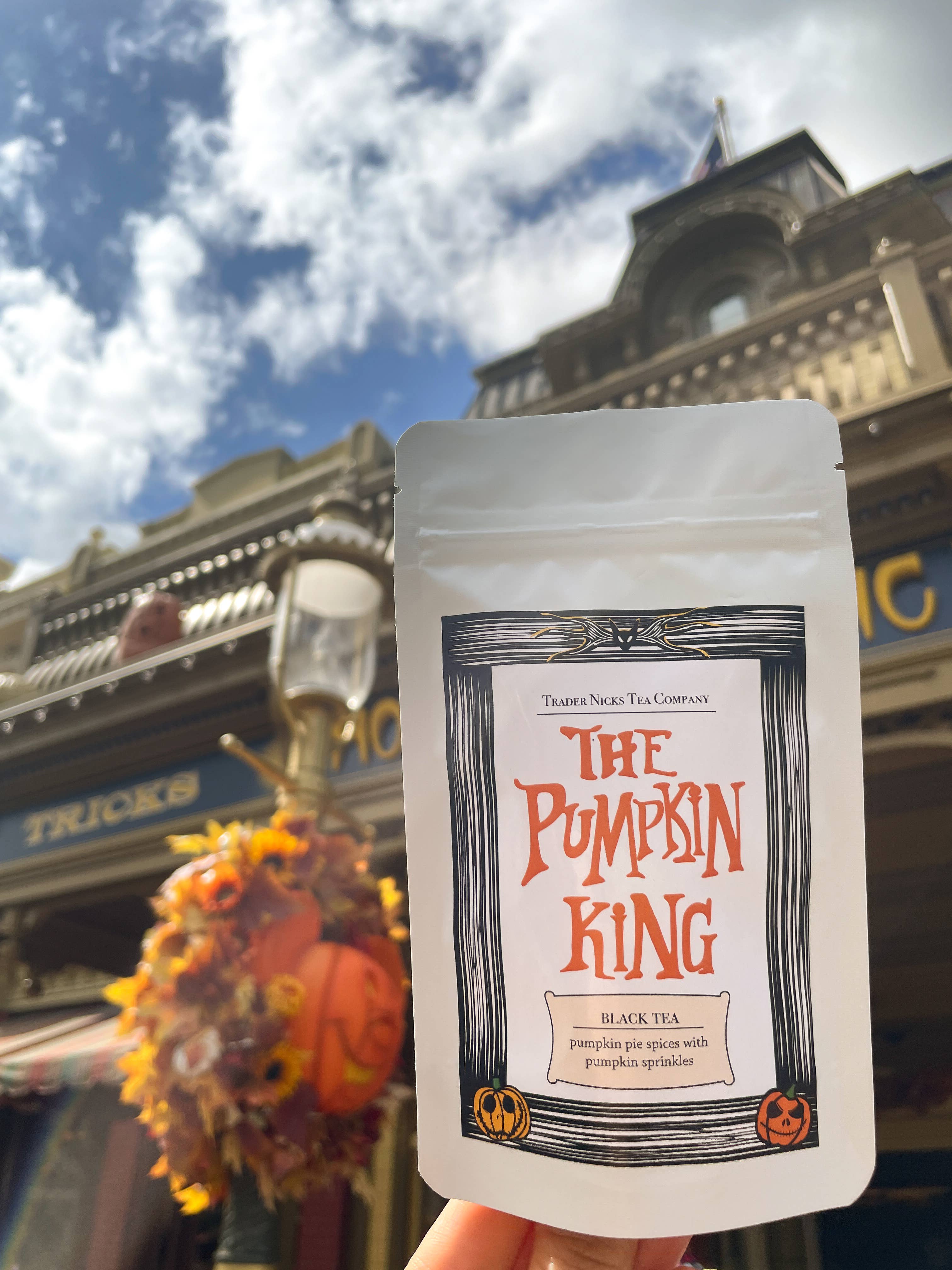 Trader Nicks Tea Company - Vendita all'ingrosso Tè sfusi - The Pumpkin King Tè Chai alla Zucca4