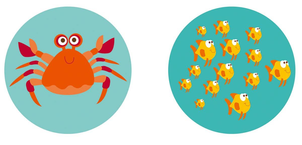 DAM - Wholesale Brain Game - Kids - Scratch - 3-in-1 Fishing Game13