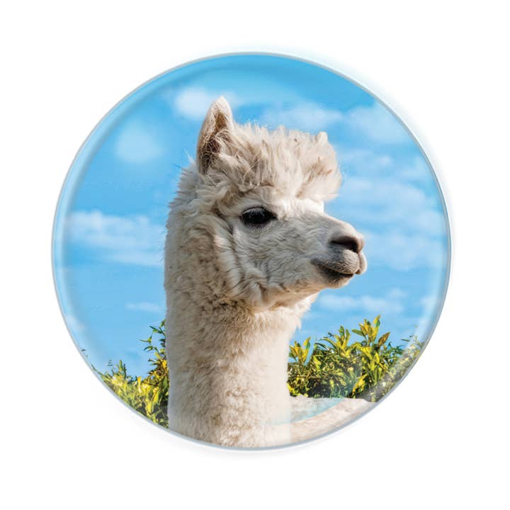 Magnidomes - Alpaca Fridge Magnet for wholesale by Deluxebase