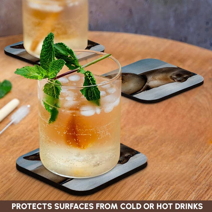 3dRose - Wholesale Coasters - 3dRose, These sea lions cuddle at Gardner Bay, Espanola Island., Coaster9