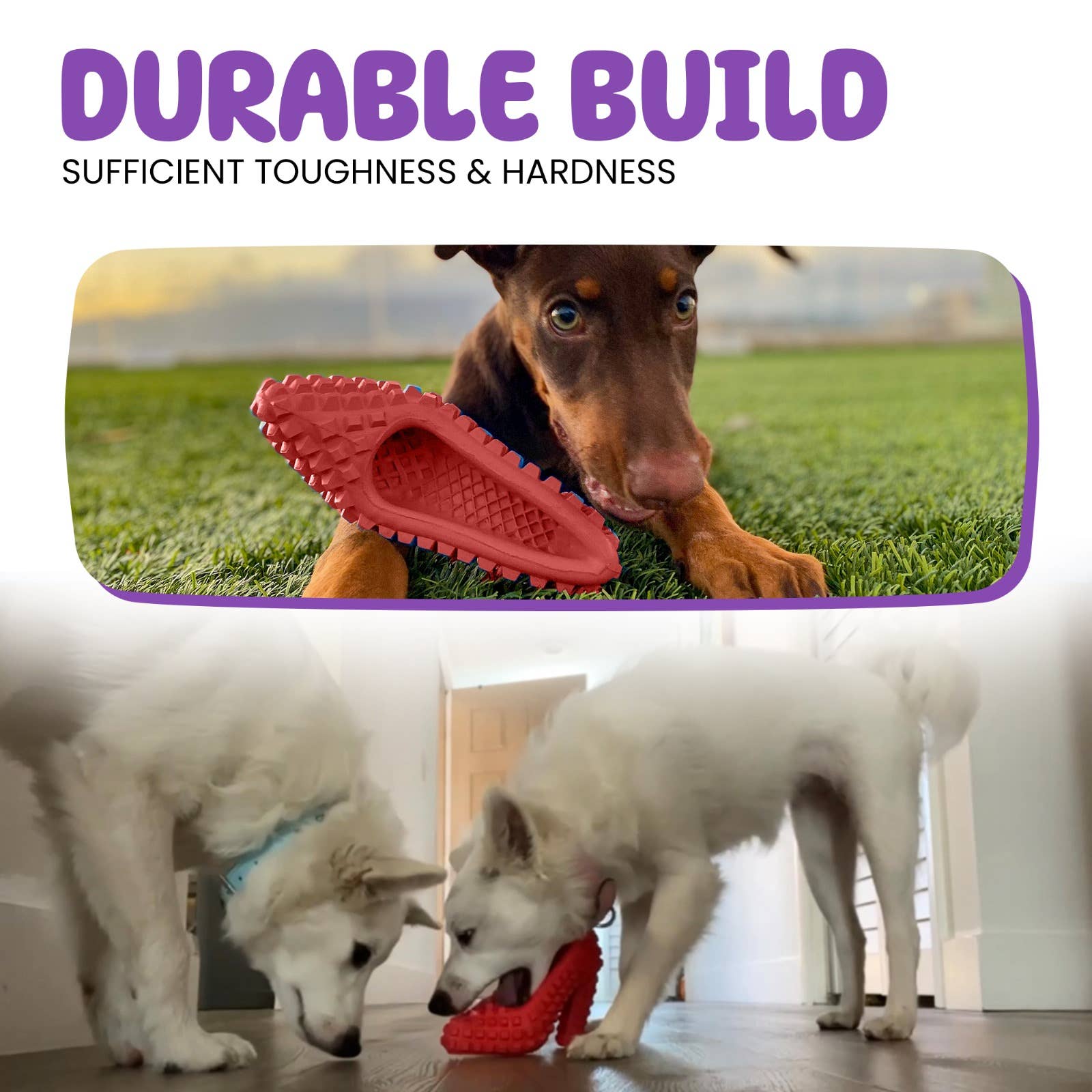 TOME DOG TOYS - Wholesale Pet Chew Toy - Dog - Dog Chew Toy & Toothbrush – For Aggressive Chewers | Durable2