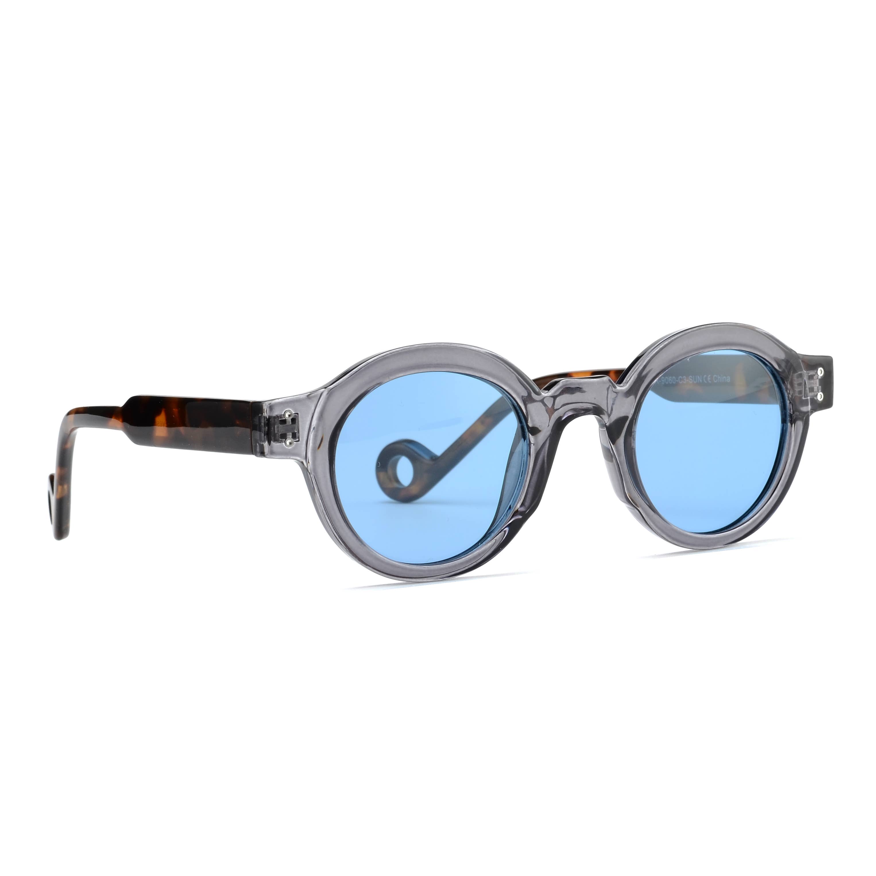 Ryan Simkhai Eyeshop - Wholesale Sunglasses - Women's - DEVAN | Transparent Grey | Tortoise Temples | Blue Lens2