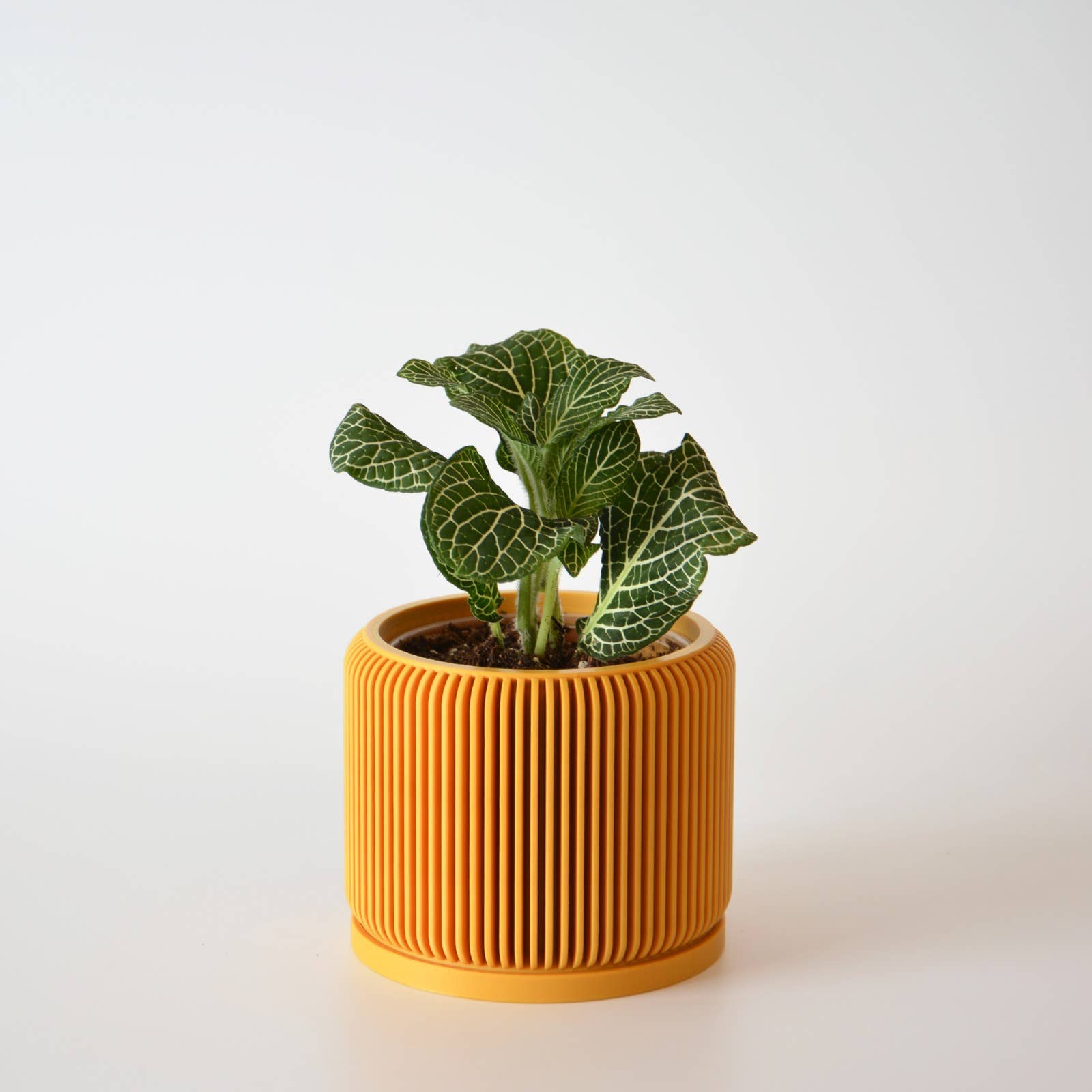 Craft53 – Großhandel Blumentopf – Minimalistischer Pflanztopf mit Drainage und Untersetzer3