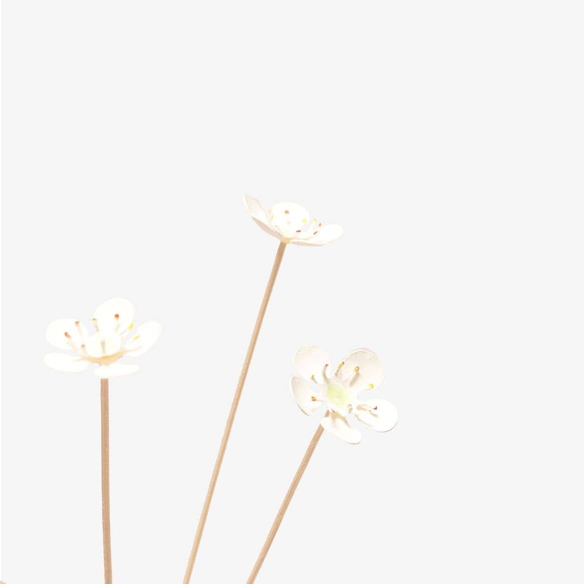 MILLIMÉTRÉE - Vente Fleurs artificielles - Bar À Fleurs Les Sauvages6