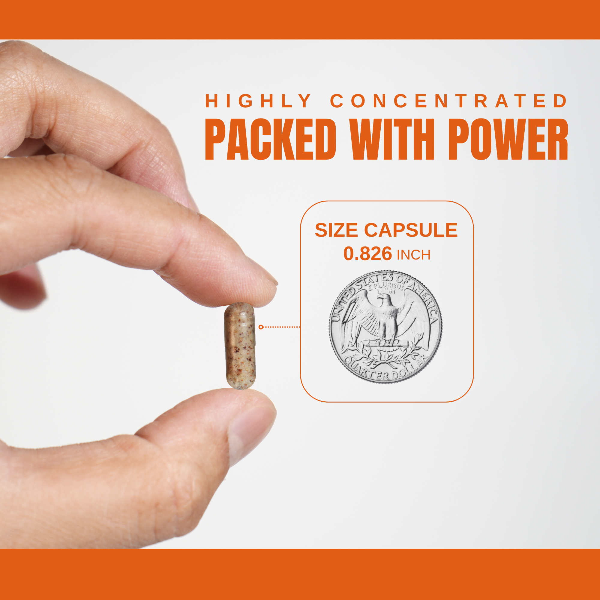 Mighty Apricot – Suplemento/vitamina oral por atacado – Mighty Apricot Cápsula de Semente de Damasco Amargo 500mg5