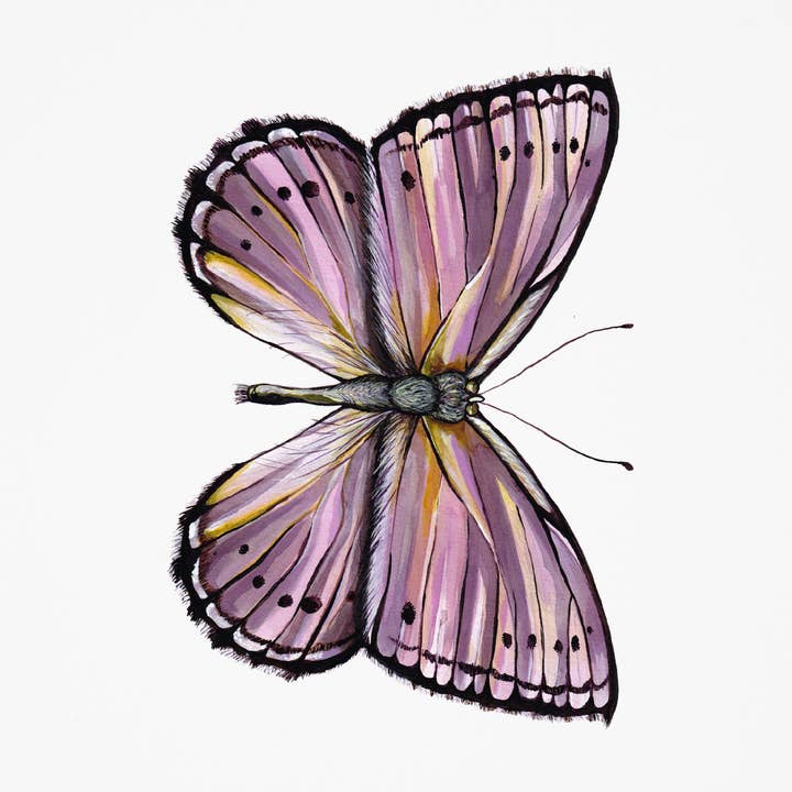 Butterfly 11 kunstdruk voor wholesale door J6R6