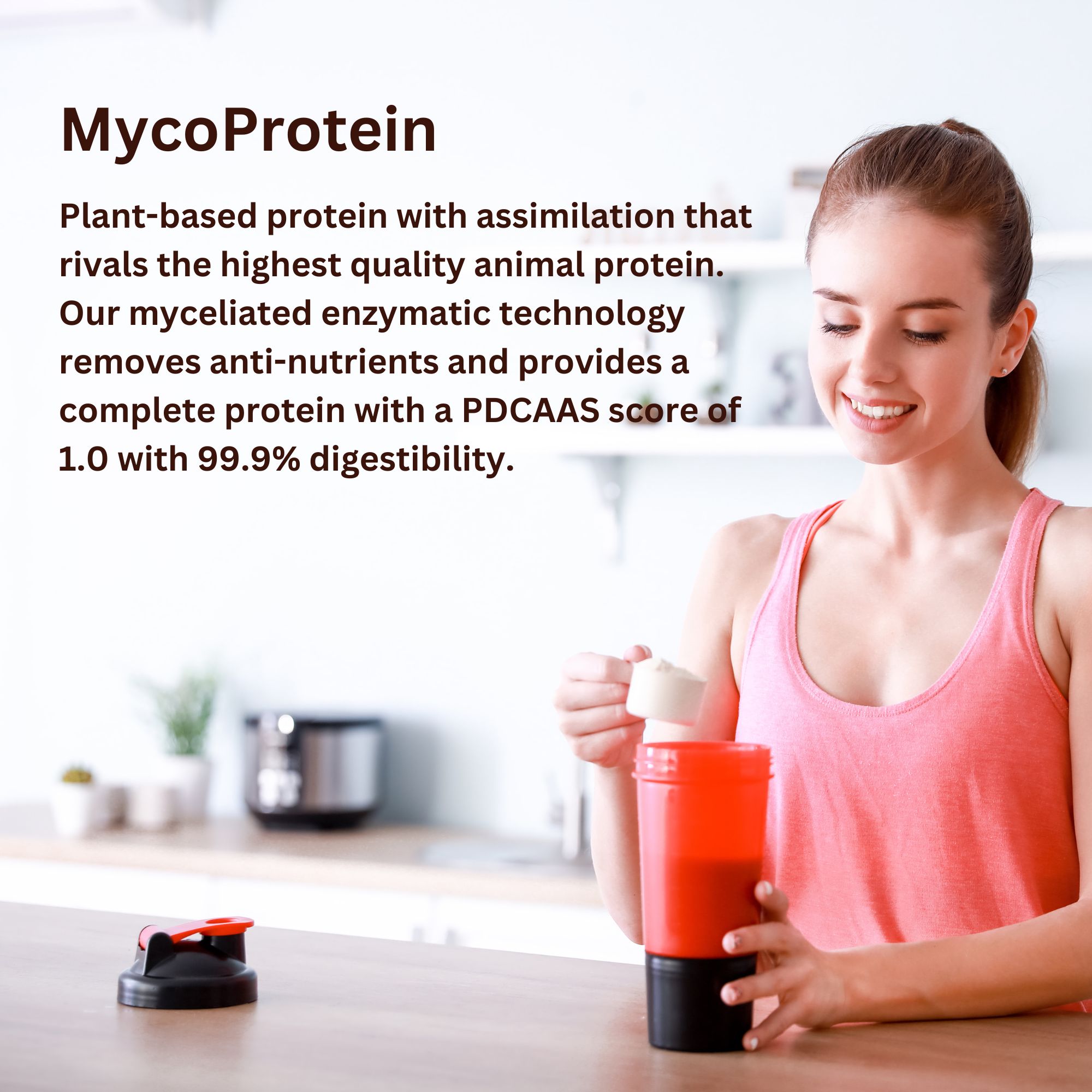 ChagaRoot – Engroshandel Protein-/superfoodpulver – ChagaRoot MycoProtein Plantebaseret Protein med Svampe7