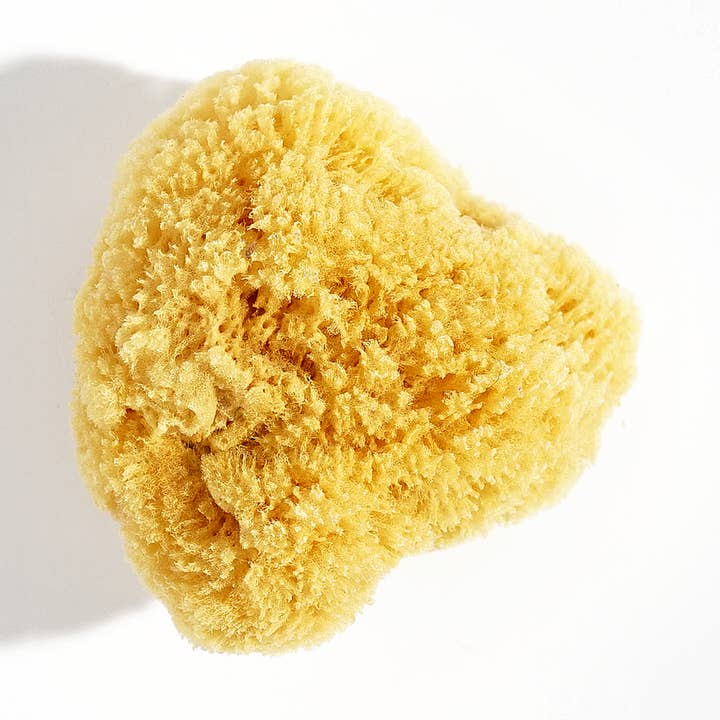 Shore Soap Co. - Wholesale Bath pouf/sponge - Natural Sea Sponge (5")0