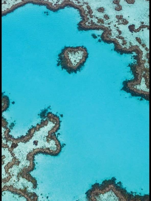 Heart Reef Travel Towel / Beach Towel - Lux Microfibre for wholesale by Will and Wind - Beach Towels & Accessories