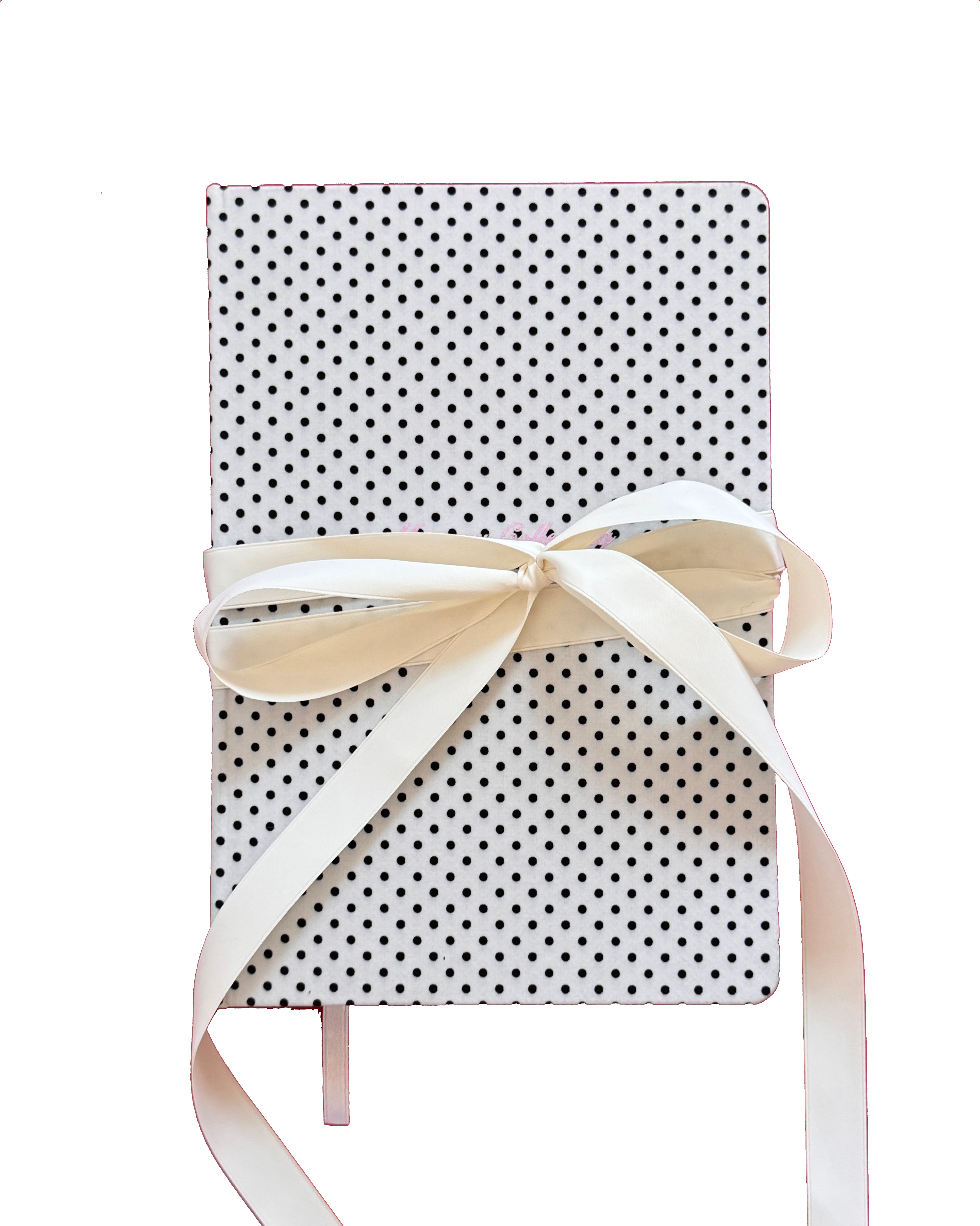 TINYSTORE - Wholesale Journal/Diary - Signature Ribbon Junk Journal- the only journal designed especially for junk journalers, scrapbookers & memory collectors1