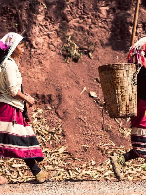 Yunnan Menglian Banka natural for wholesale by Quichapa Coffee