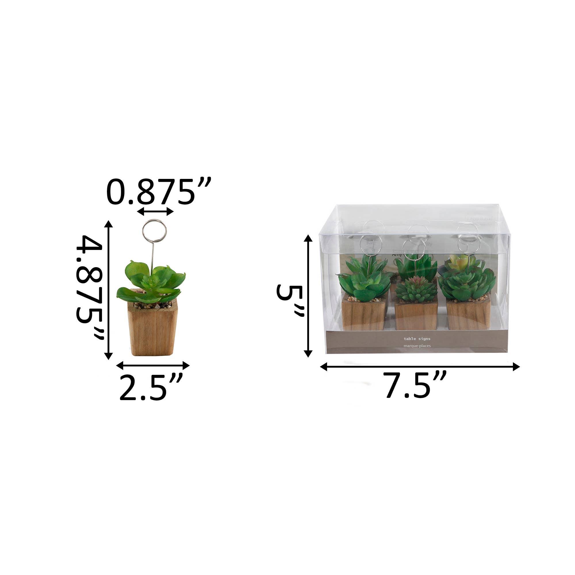 Flora Bunda Inc - Wholesale Place Card / Place Holder - Mini Succulent Memo Clip – Set of 41
