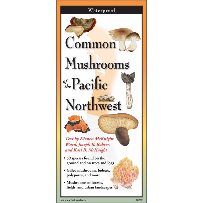 Common Mushrooms of the Pacific Northwest for wholesale by Earth Sky + Water
