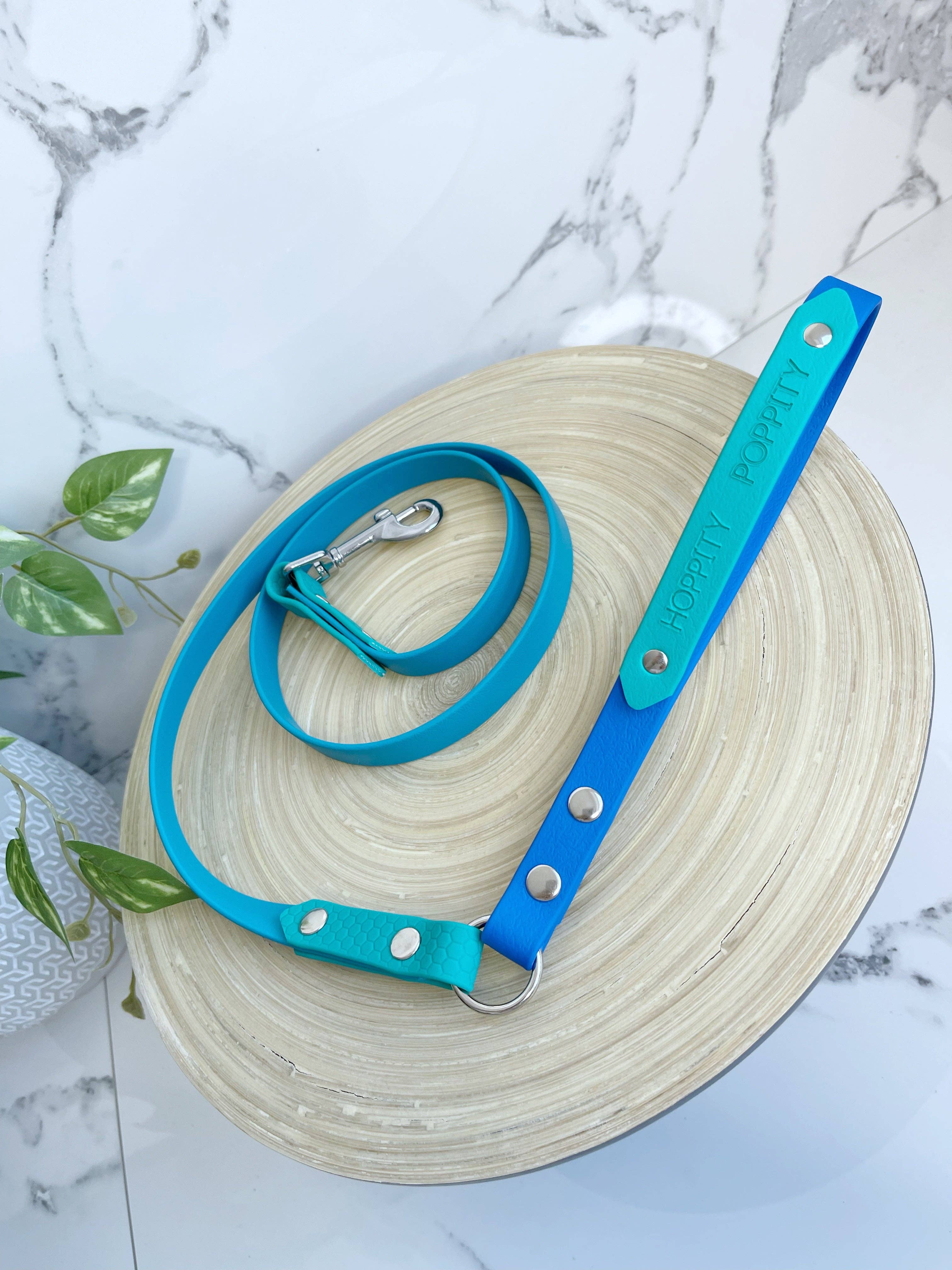 My Pawchella - Wholesale Hondenriem - Hond - *Ontwerp je eigen* biothane / gekleurde nylon hondenriem33