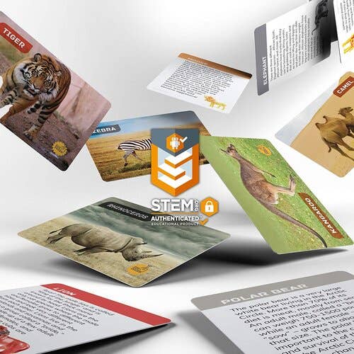 Dan&Darci - Wholesale Toy Set - Kids - Dig a Dozen Safari Animals Kit2