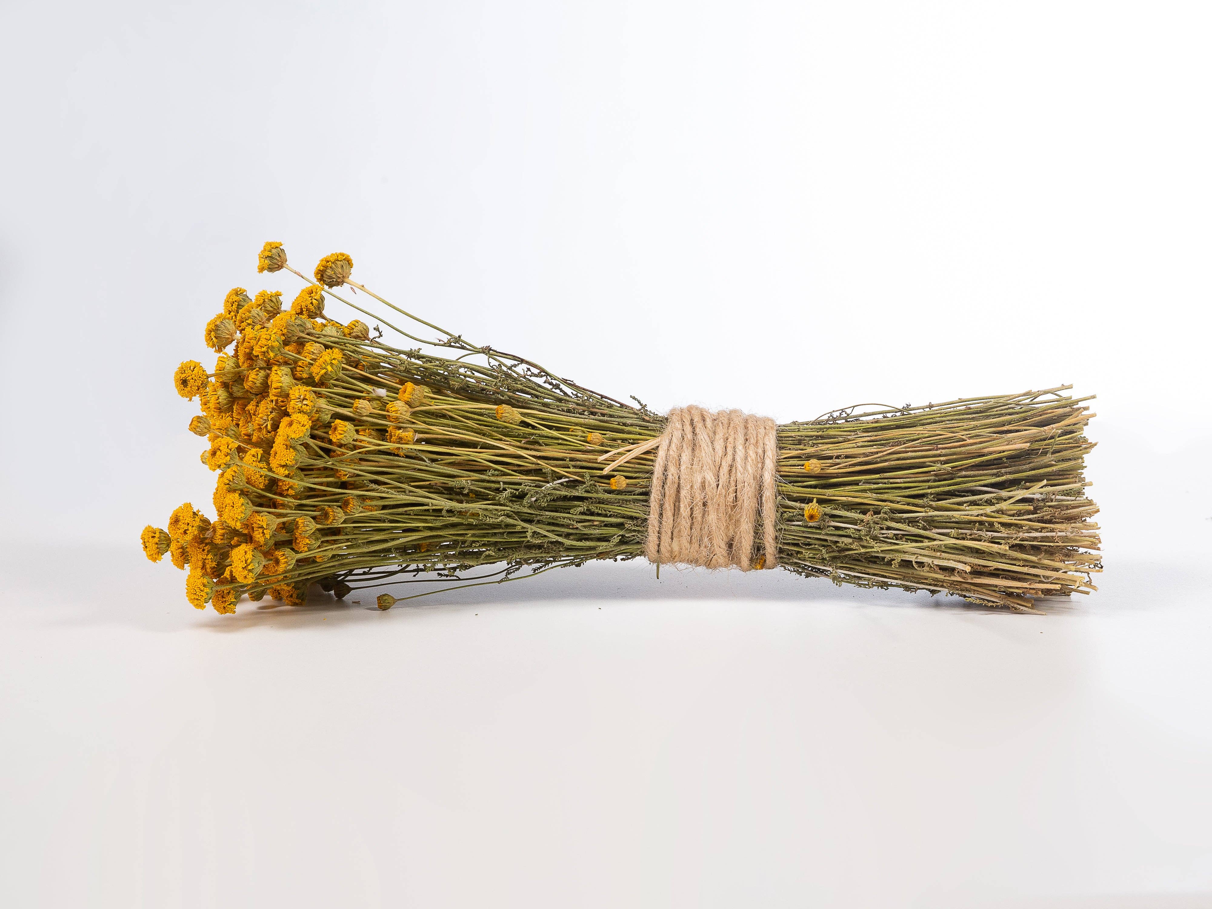 Concari.flores Preservadas - Wholesale Dried/Pressed Flowers - DRIED CHAMOMILE BOUQUET4