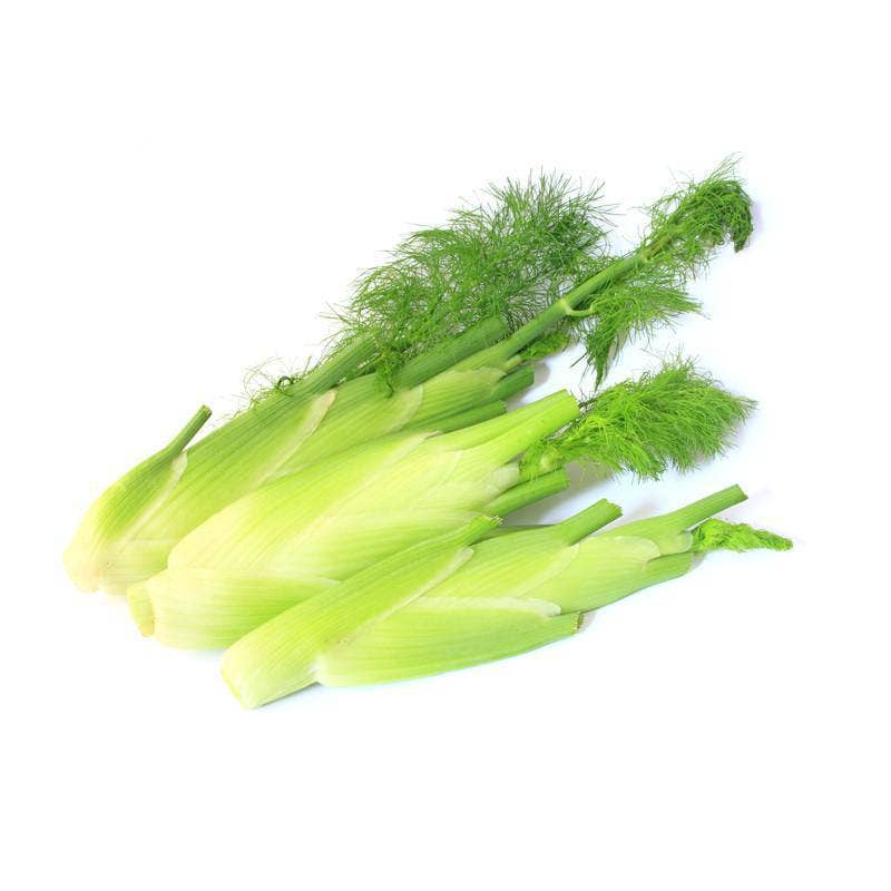 Bentley Seed Co. - Wholesale Plant Seeds - Fennel, Florence Seed Packets2