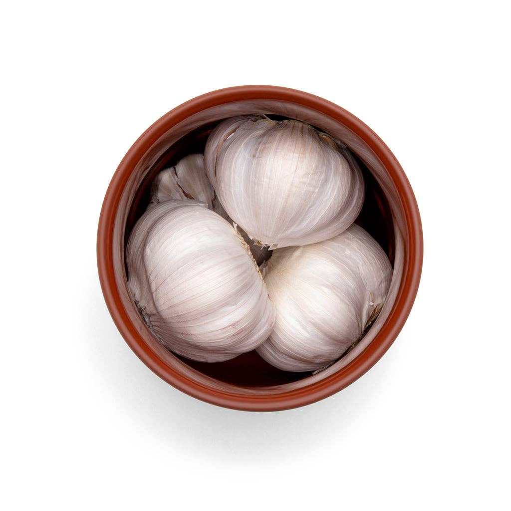 Monkey Business Design USA LLC - Wholesale Kitchen Tool/Gadget - Terracotta Container For Garlic Holder | Heads & Cloves5