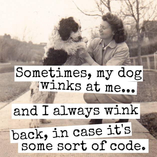 Fridge Magnet. Sometimes, My Dog Winks At Me... for wholesale by Raven's Rest Studio