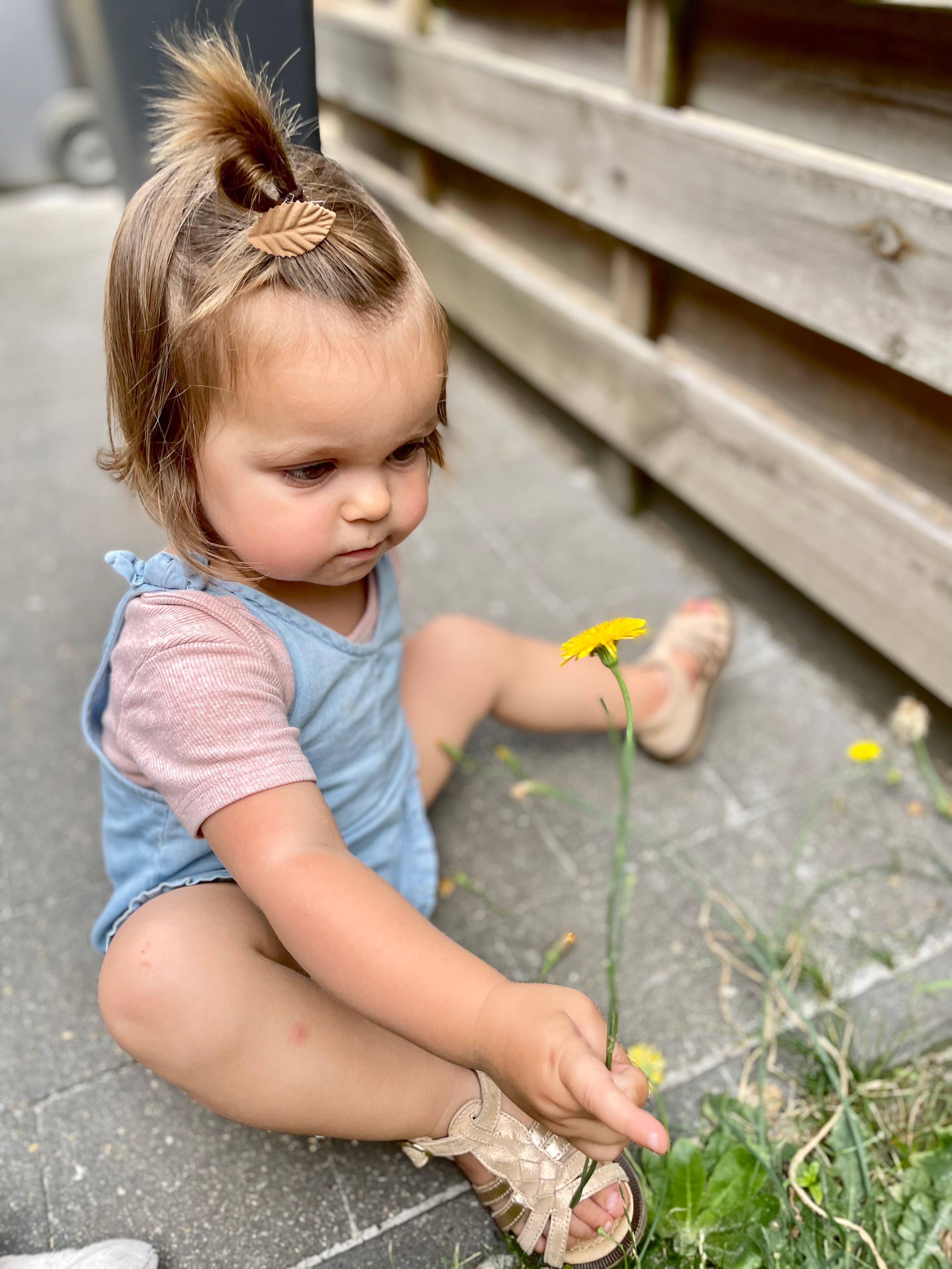 Studio Frommie - Wholesale Hair Pin - Set of non-slip hair clips autumn 22