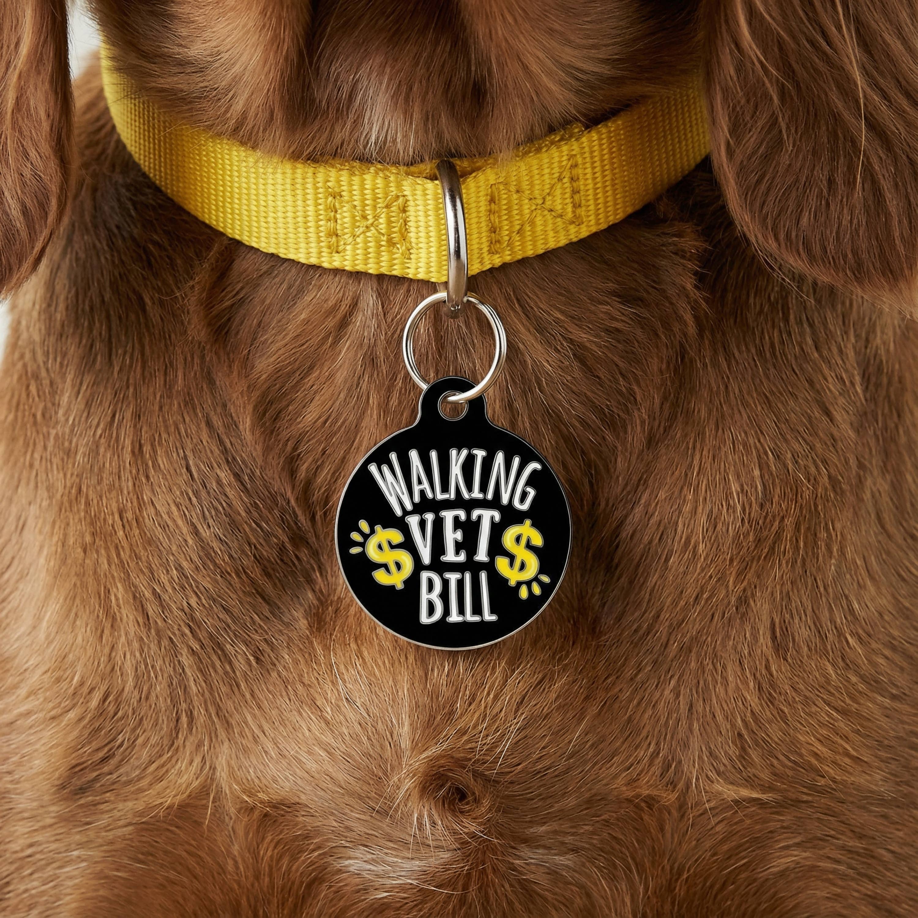 Bad Tags - Wholesale Pet Identification Tag - Cat/Dog - Enamel Dog Tag w/Scannable Pet ID - Walking Vet Bill2