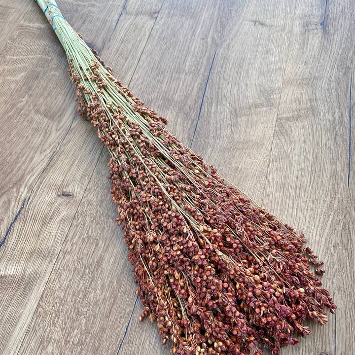Lovejoy Farms Premium Dried Flowers – wholesale Dried/pressed flowers – Broom Corn