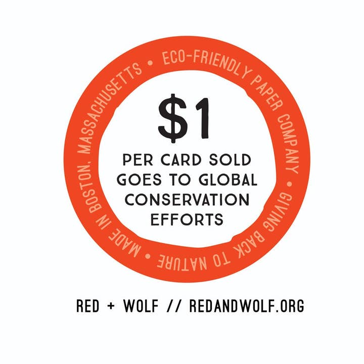 Red and Wolf Paper Company - Venta al por mayor Tarjetas de felicitación - Tarjeta de tortuga laúd, original, ecológica, manatíes, océano, agua, en peligro de extinción, reciclada, retribuye, conservación de la vida silvestre