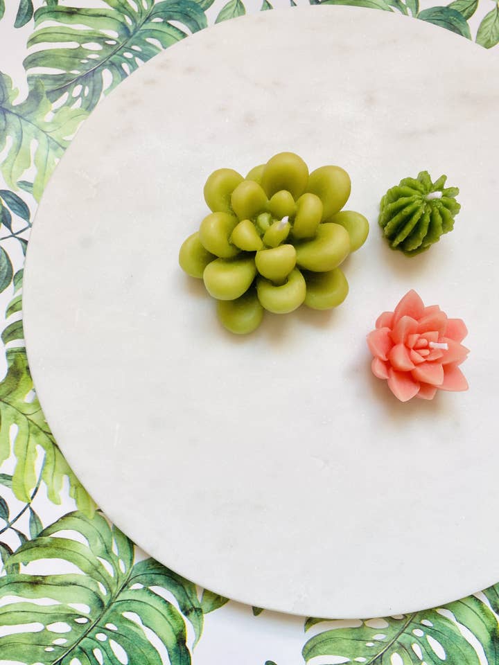 Bougies chauffe-plat succulentes en cire d'abeille - Paquet de 3 pour la vente par Maple + Love