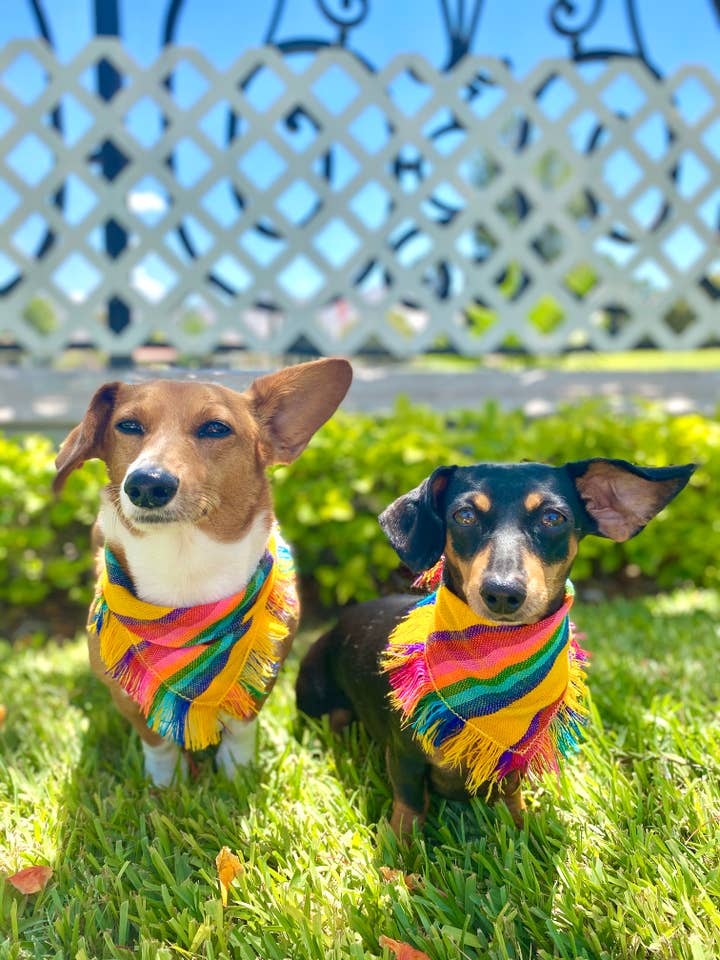 Yellow Bandana for wholesale by AztecK9