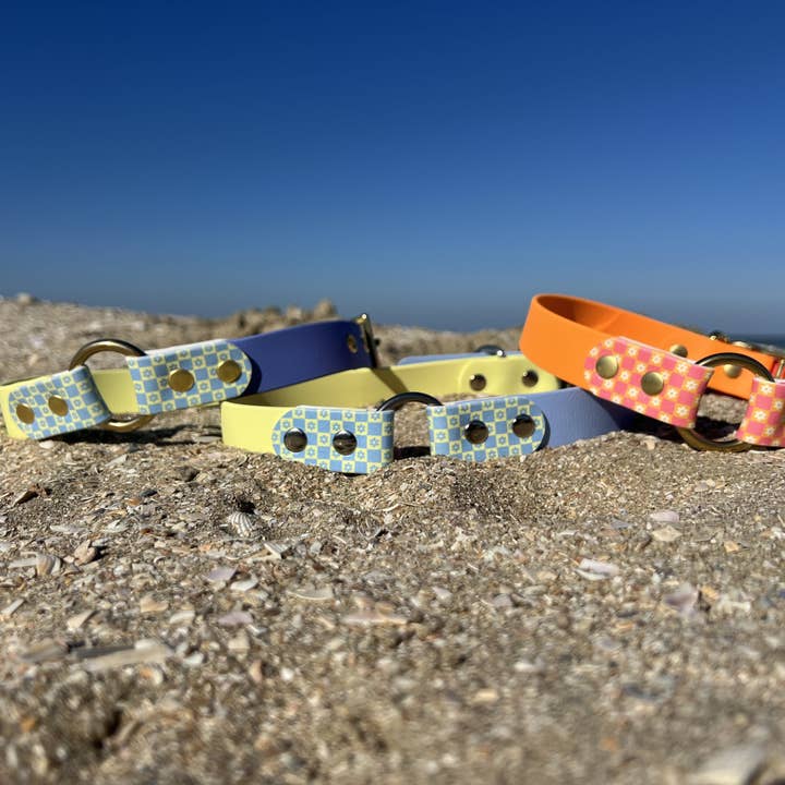 Splash By Happy - Wholesale Pet Collar - Dog - 🌼 Happy Flower 🌼8