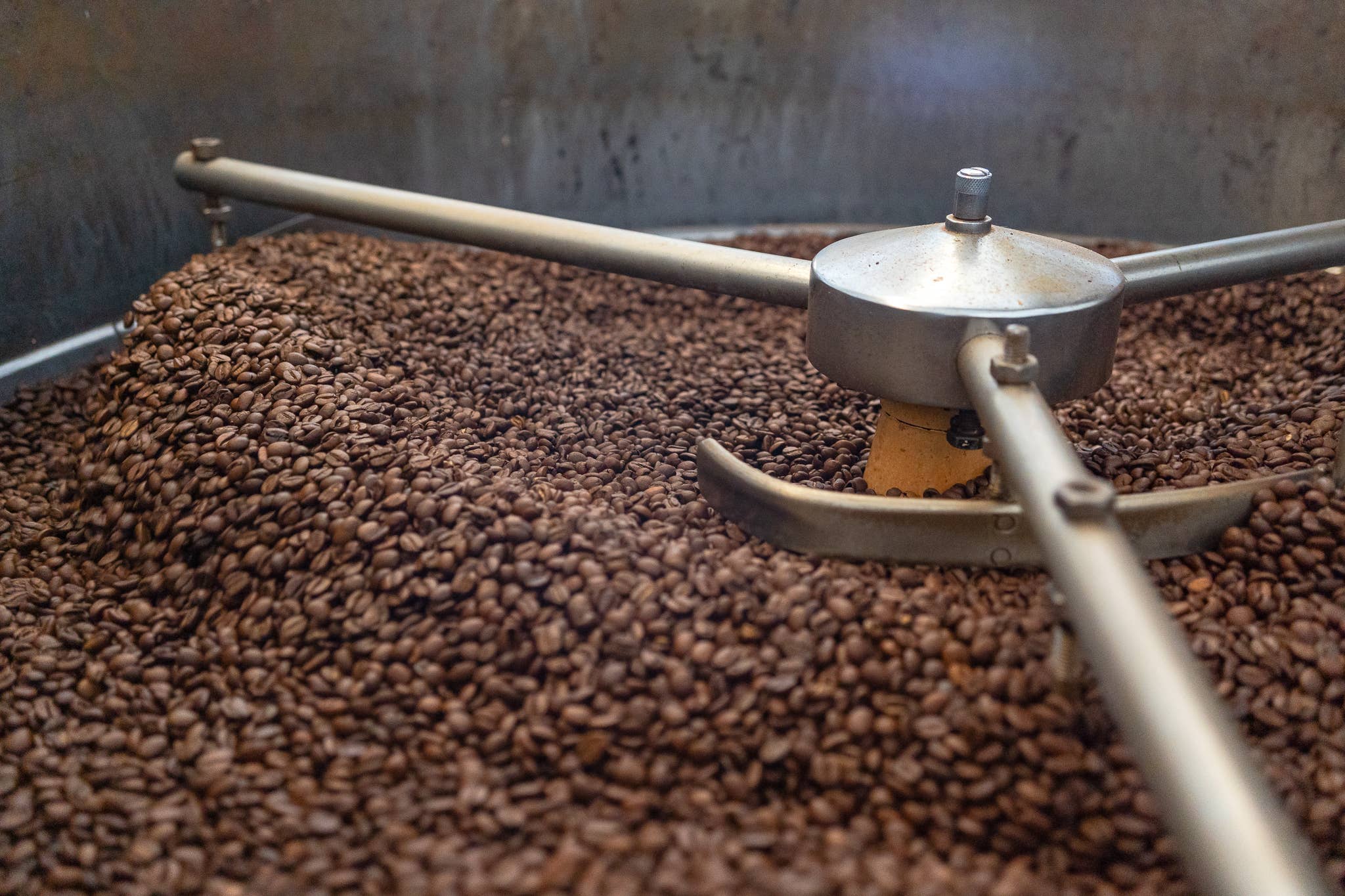 Domingo Caffè - Wholesale Coffee Beans - Sofia Espresso Italiano (Box containing 6 Kg)2