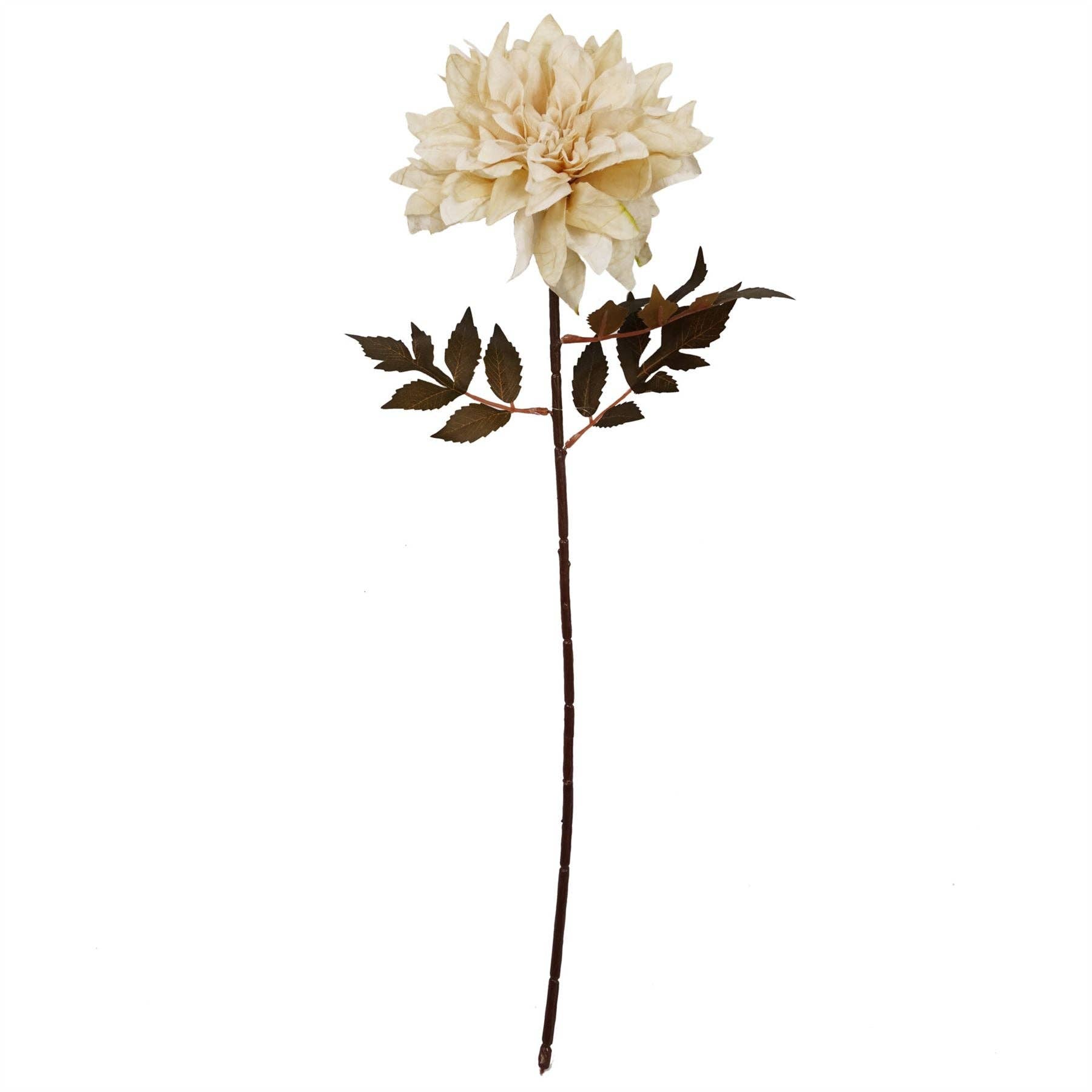 Leaf Design UK LTD – Großhandel Künstliche Blumen – 55 cm Dahlien-Blütenstiel – Staubiges Creme1