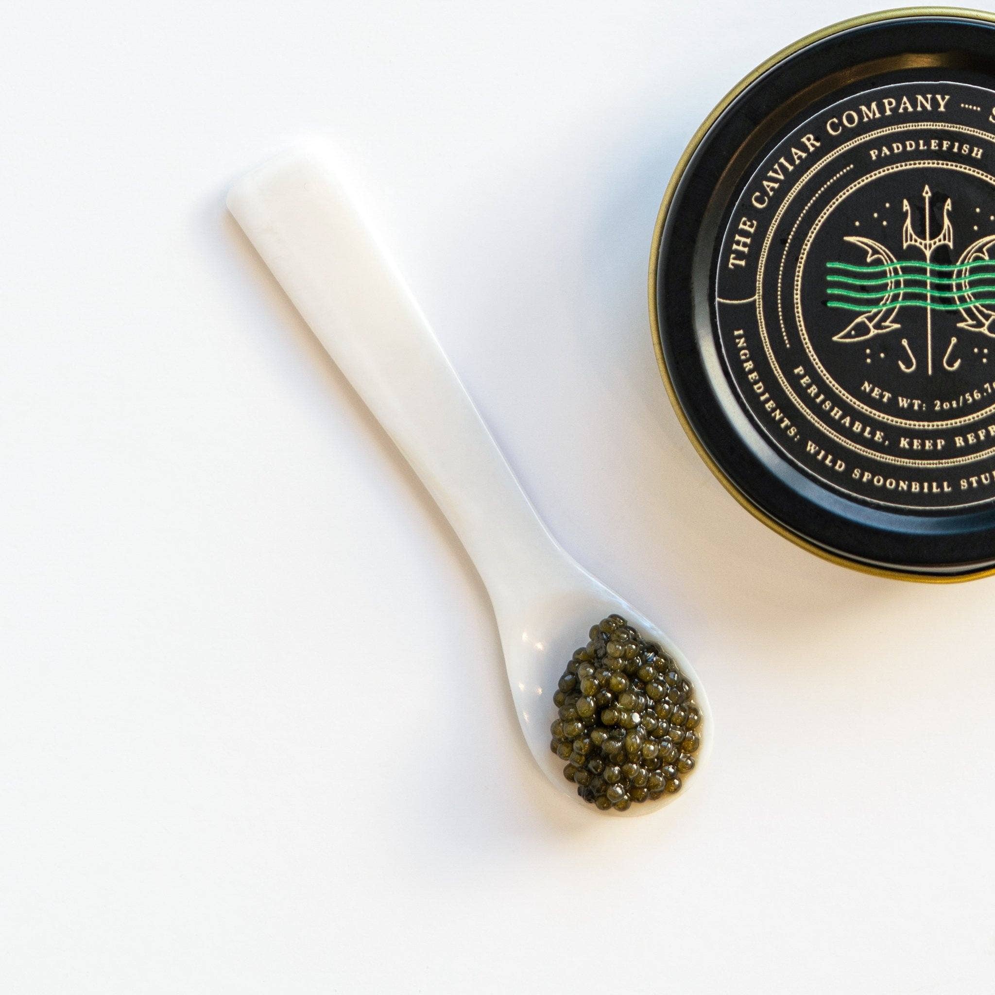 The Caviar Co. - Wholesale Fish/Seafood - Paddlefish Caviar3