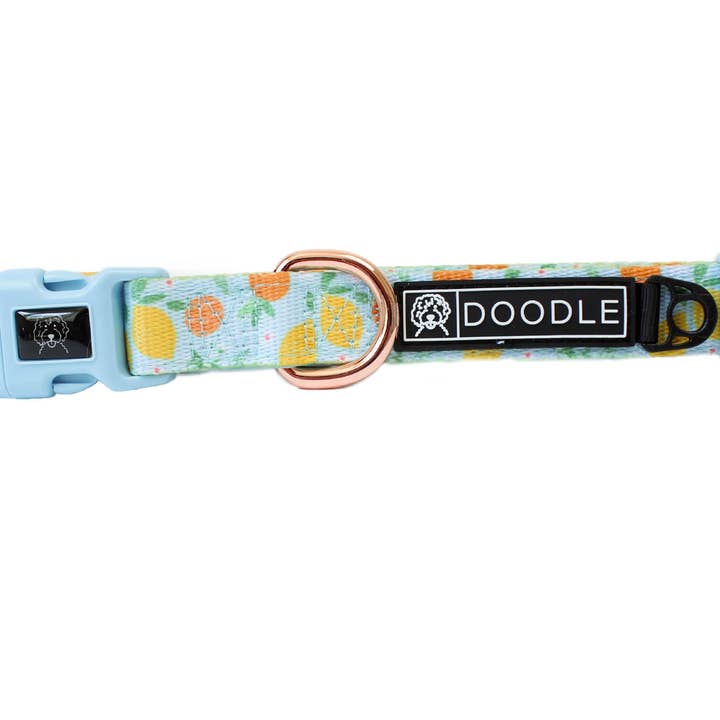 FRESH SQUEEZE for wholesale by Doodle Pet Design Company