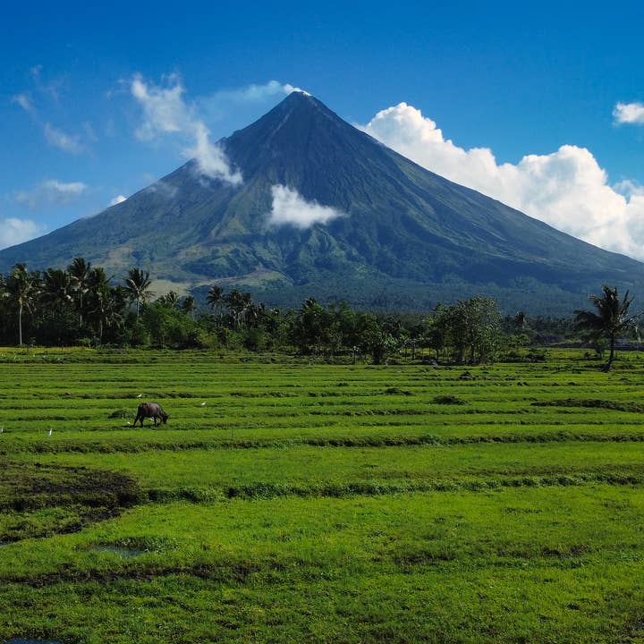 Pili Hunters - Wholesale Nuts - Pili Hunters Pink Himalayan Salt Pili Nuts (5oz)4