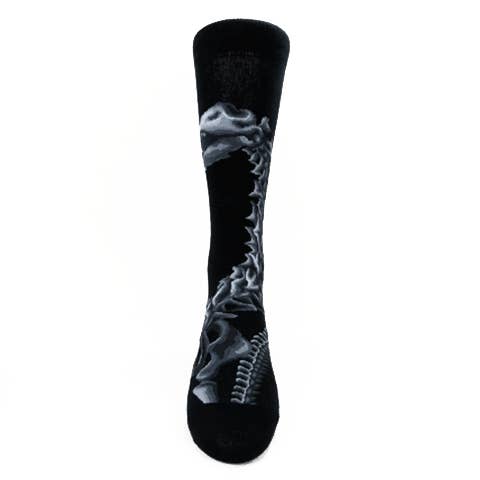Chaussettes unisexes à motif de dinosaure - Apatosaurus/Brontosaurus pour la vente par JHJ International Company Limited