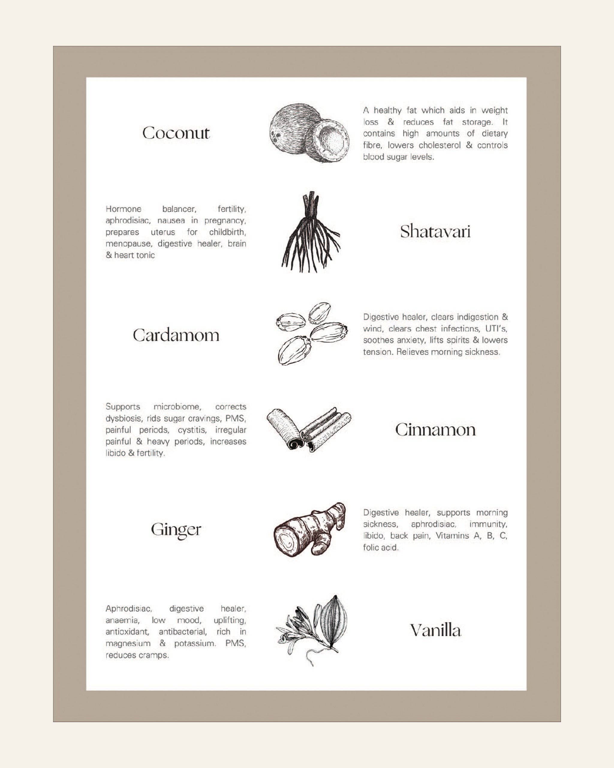 Palm of Feronia - Wholesale Gezondheid/Detox thee - Harmonia Masala Chai – verwarmende Ayurvedische kruidenmix3