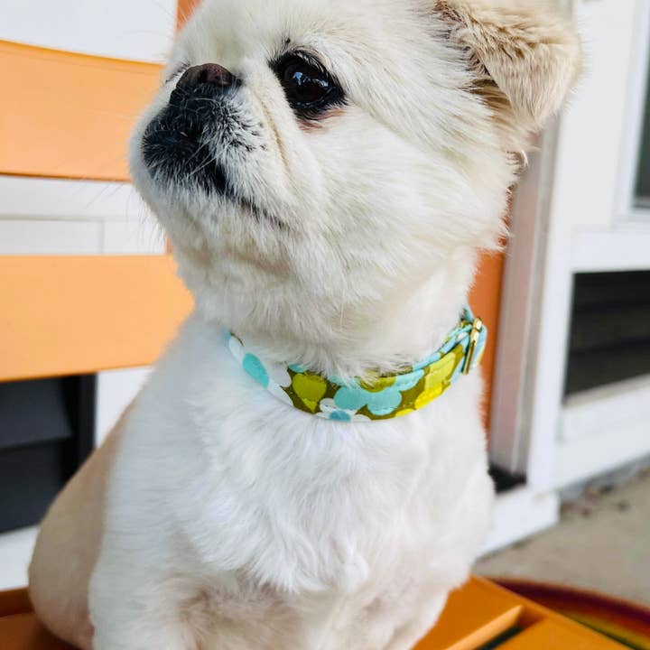 Little Barks Boutique - Vente Collier – chien - Le « Willow » - Collier pour chien13