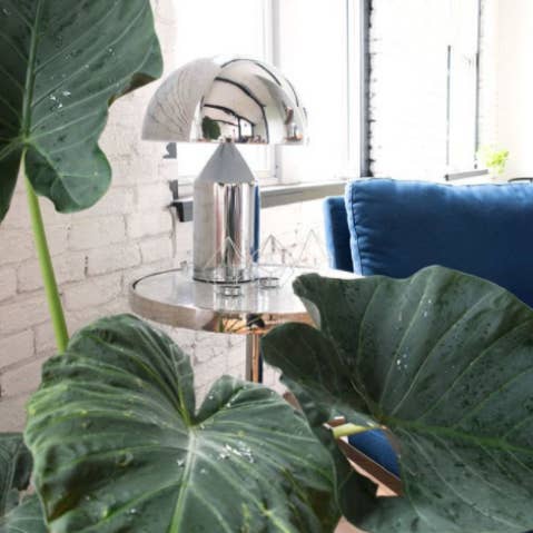 Pink&Brown - Wholesale Accent/desk lamp - Atollo Table Lamp1