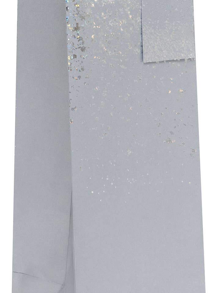 Ballyhoo Shimmer Silver XL Flaskpåse för wholesale av Ballyhoo