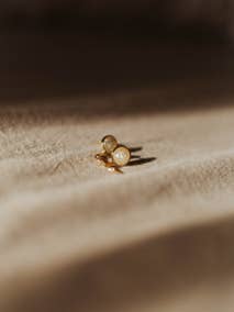 Aylin for wholesale by Three2Seven