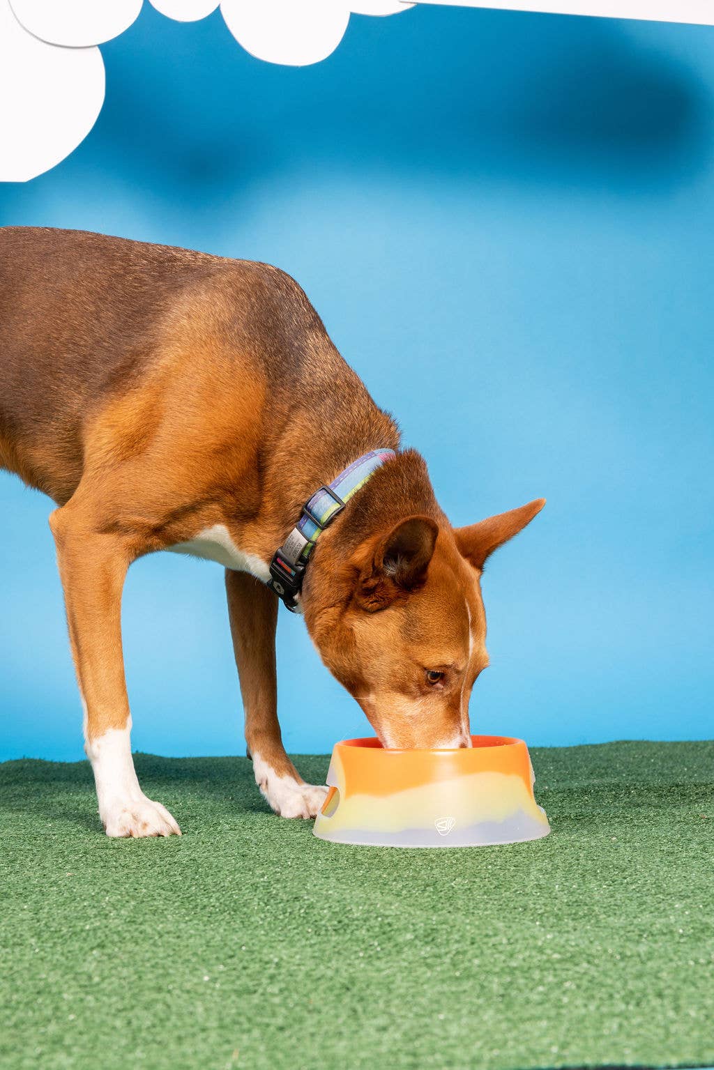 Silipint - Wholesale Pet Bowl - Cat/Dog - Aqua-Fur 1-Liter Silicone Dog Bowl - Arctic Sky3