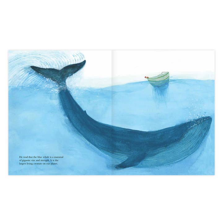 Enchanted Lion Books - Wholesale Book - Kids - The Blue Whale