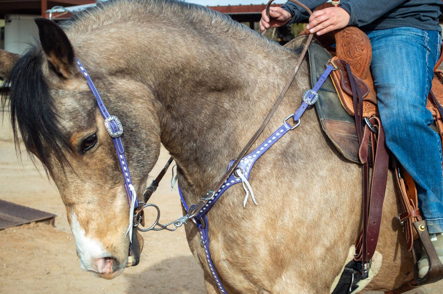 Schulz Equine – wholesale Horseback riding gear – Purple Leather Headstall and Breast Collar Set6